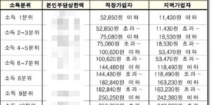 본인부담상한액 월별 기준보험료